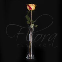 İTHAL ÇİFT RENK KIRMIZI - HARDAL DELUXE GÜL